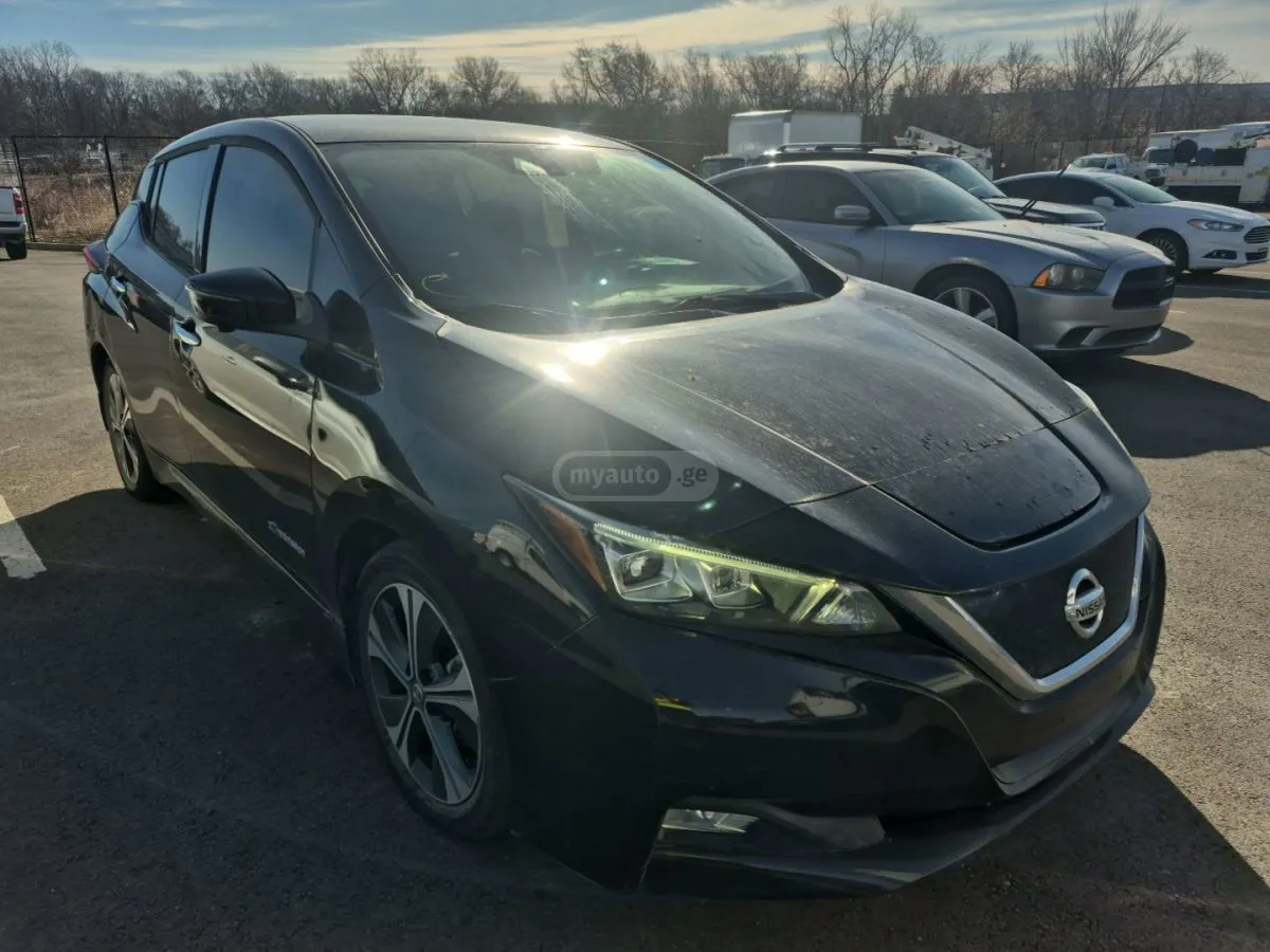 Nissan Leaf - фото 1