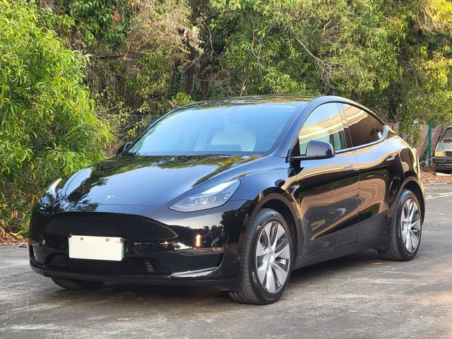 Tesla Model Y - фото 1