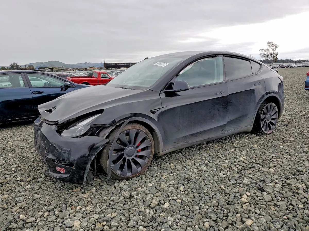 TESLA MODEL Y - фото 1