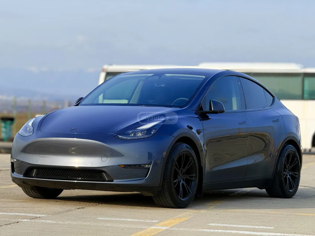 Tesla Model Y - фото 1