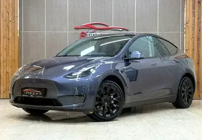 Tesla Model Y - фото 1