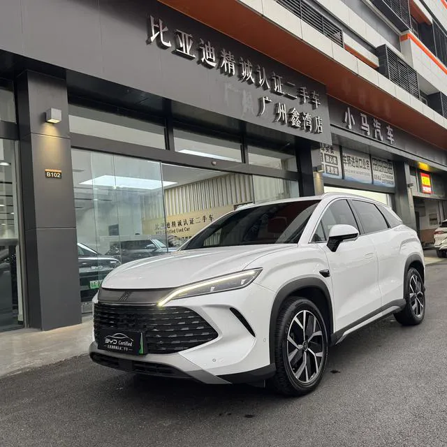 BYD L DM - фото 1