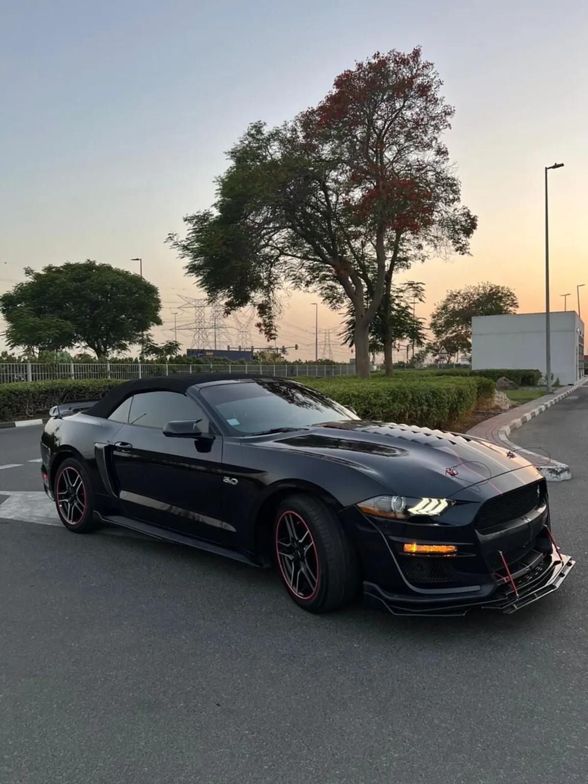 Ford Mustang - фото 1