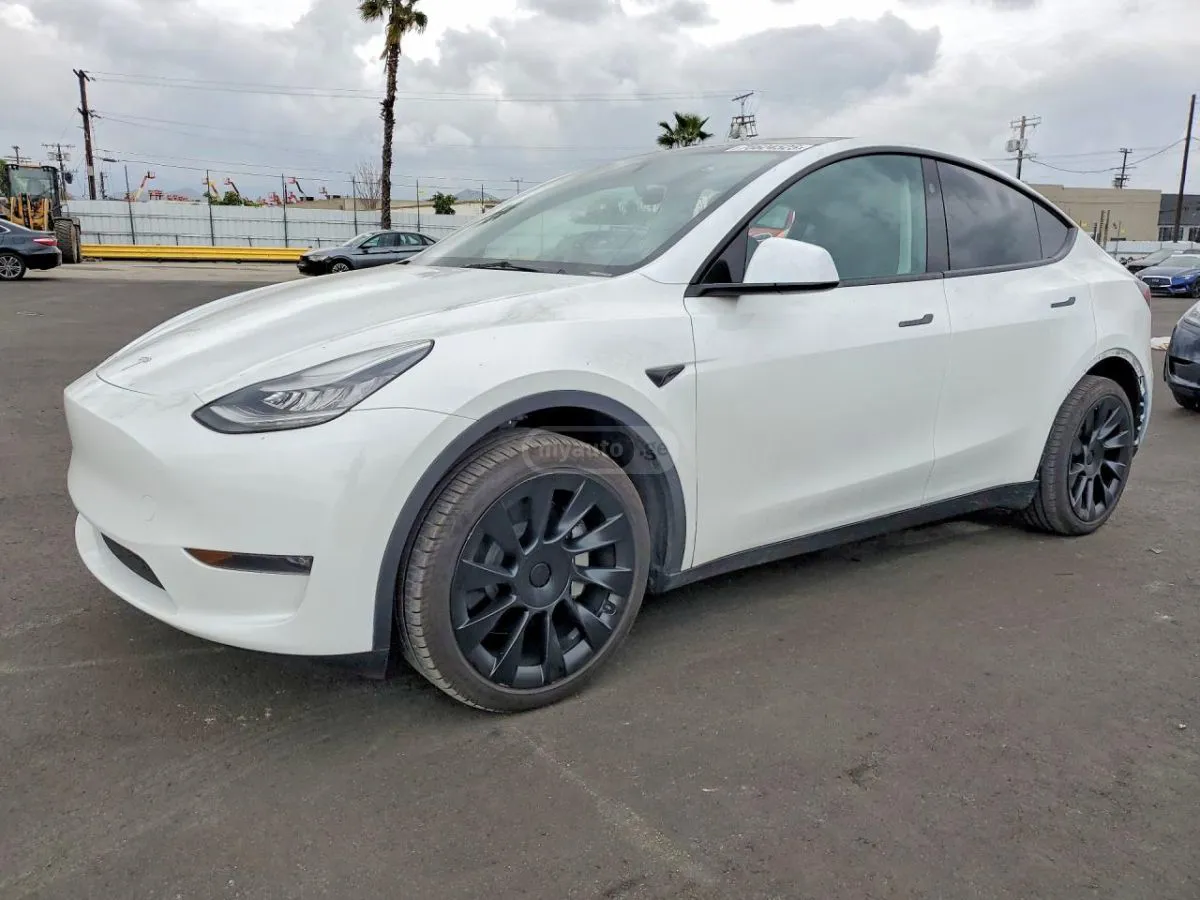 Tesla Model Y - фото 1