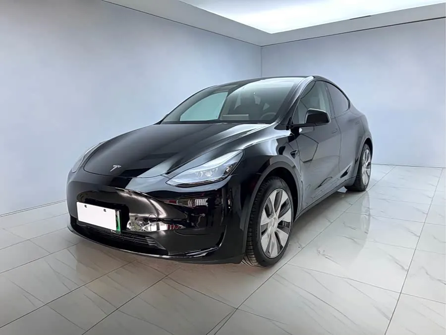 Model Y - фото 1