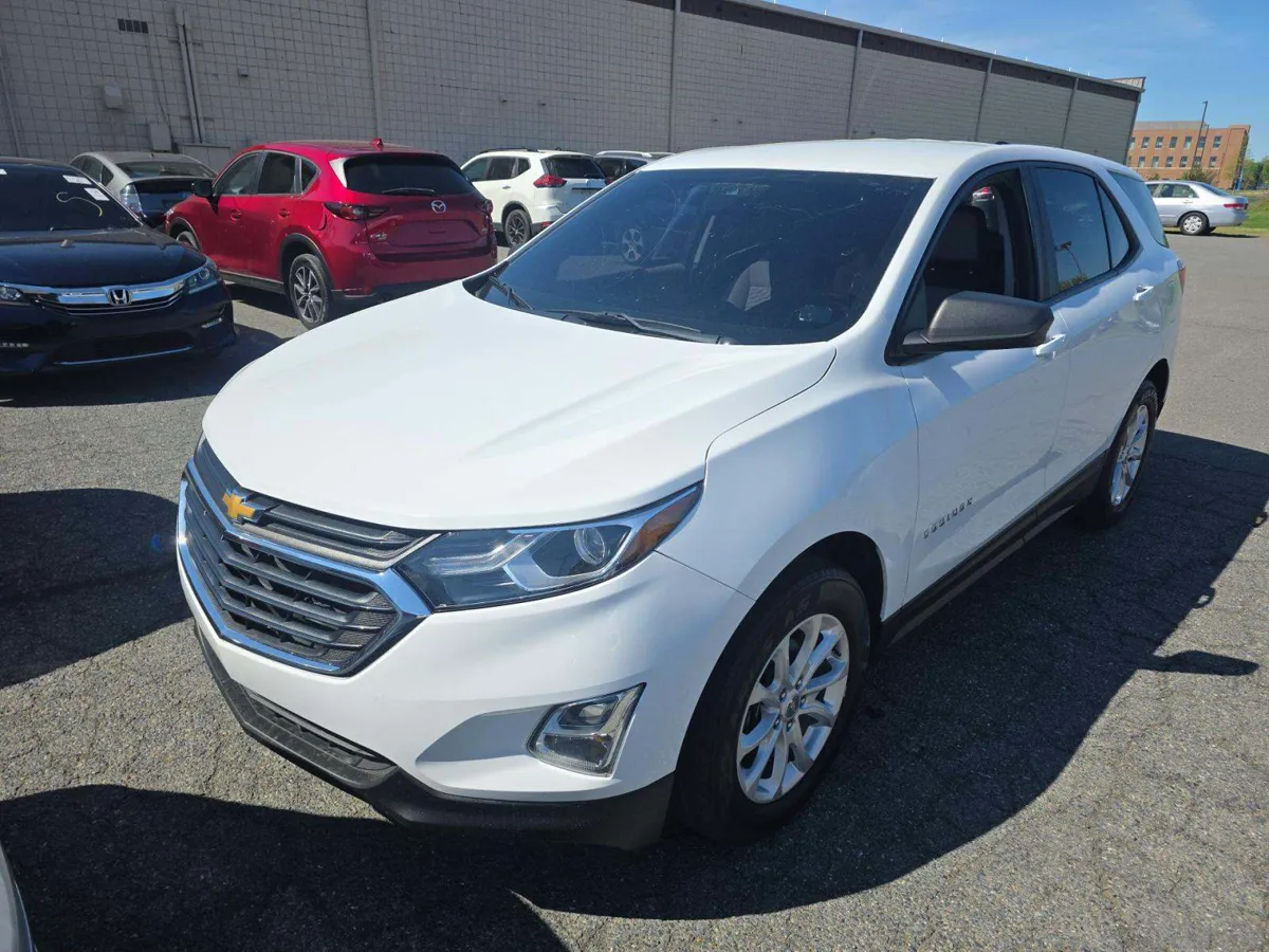 Chevrolet Equinox LS - фото 1