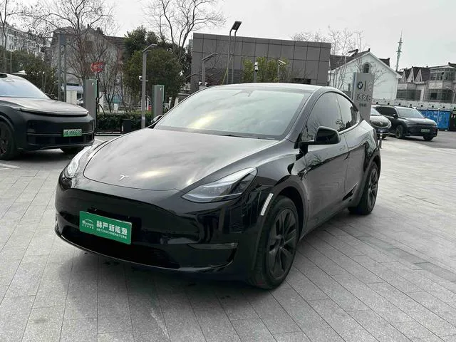 Tesla Model Y - фото 1