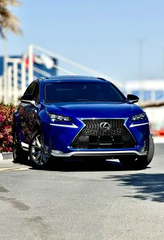 Lexus NX-Series - фото 1
