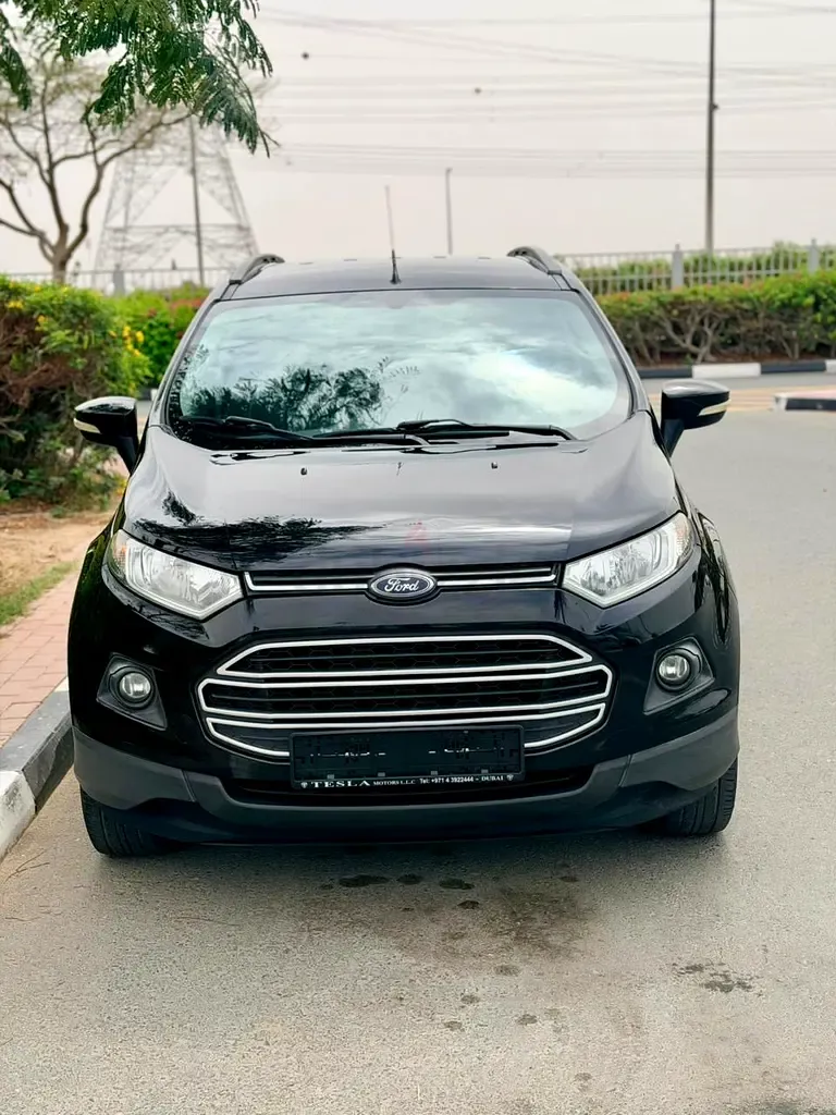 Ford Ecosport - фото 1