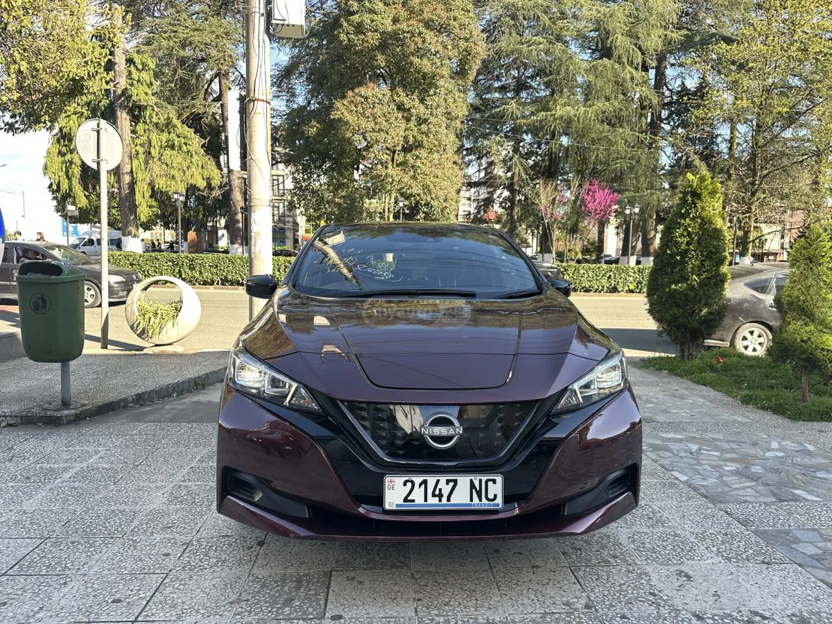 Nissan Leaf - фото 1