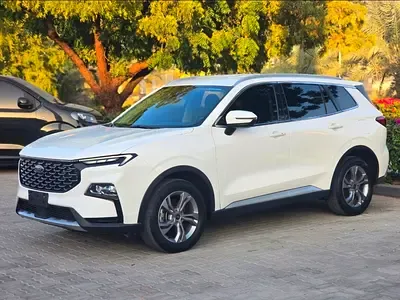 Ford Territory - фото 1