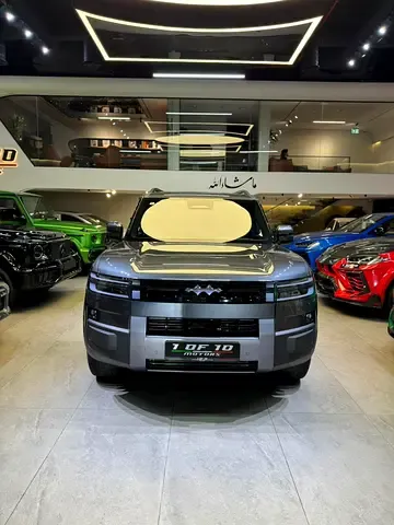 BYD Leopard Titanium 7 - фото 1