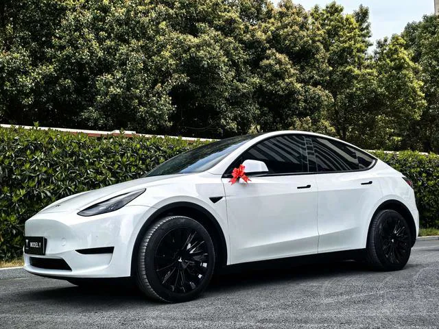 Tesla Model Y - фото 1