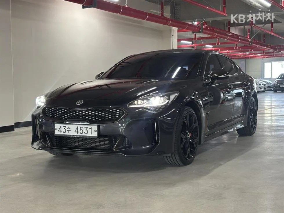 Kia 스팅어 2.0 터보 4WD 플래티넘 - фото 1
