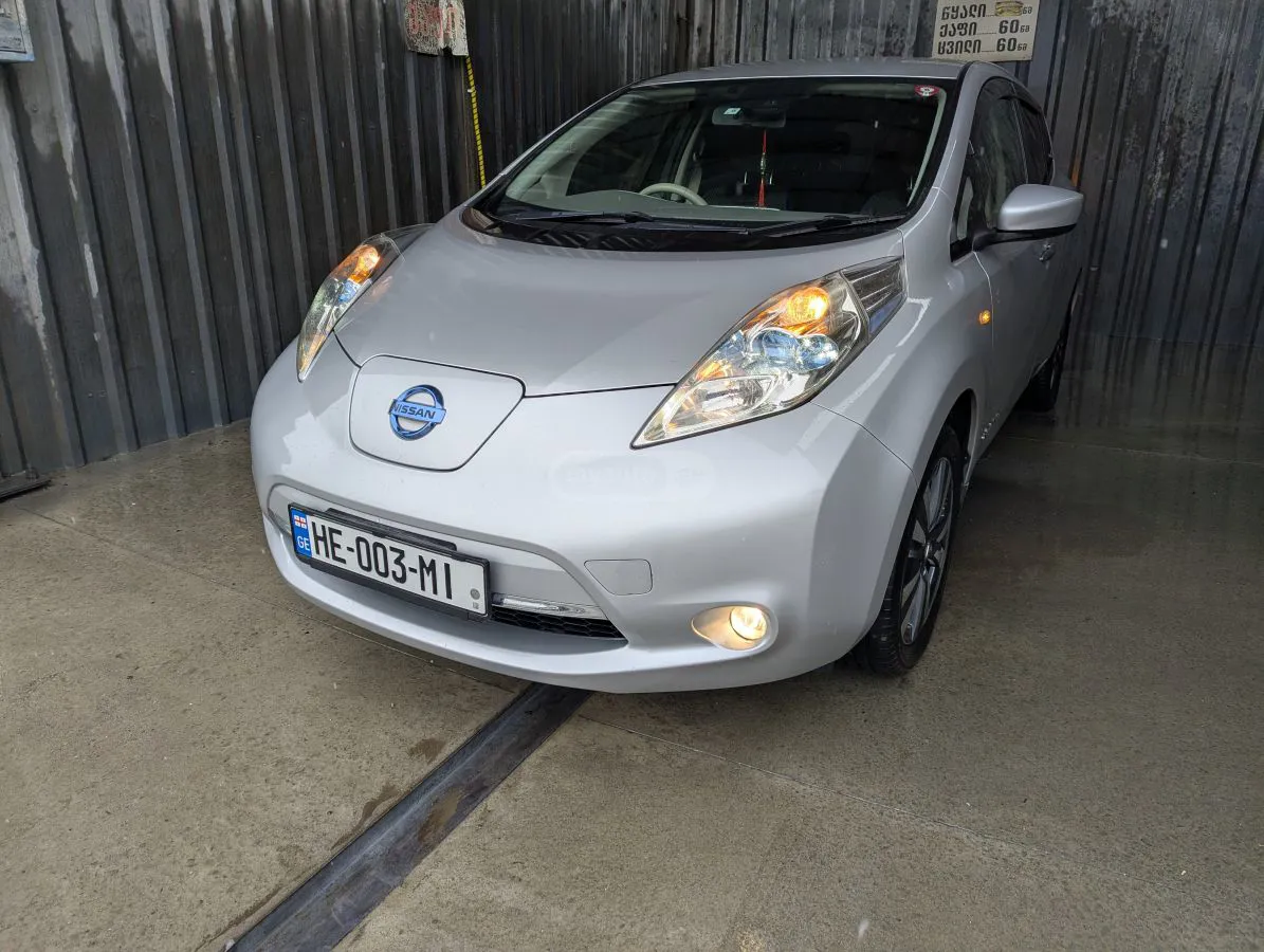 Nissan Leaf - фото 1