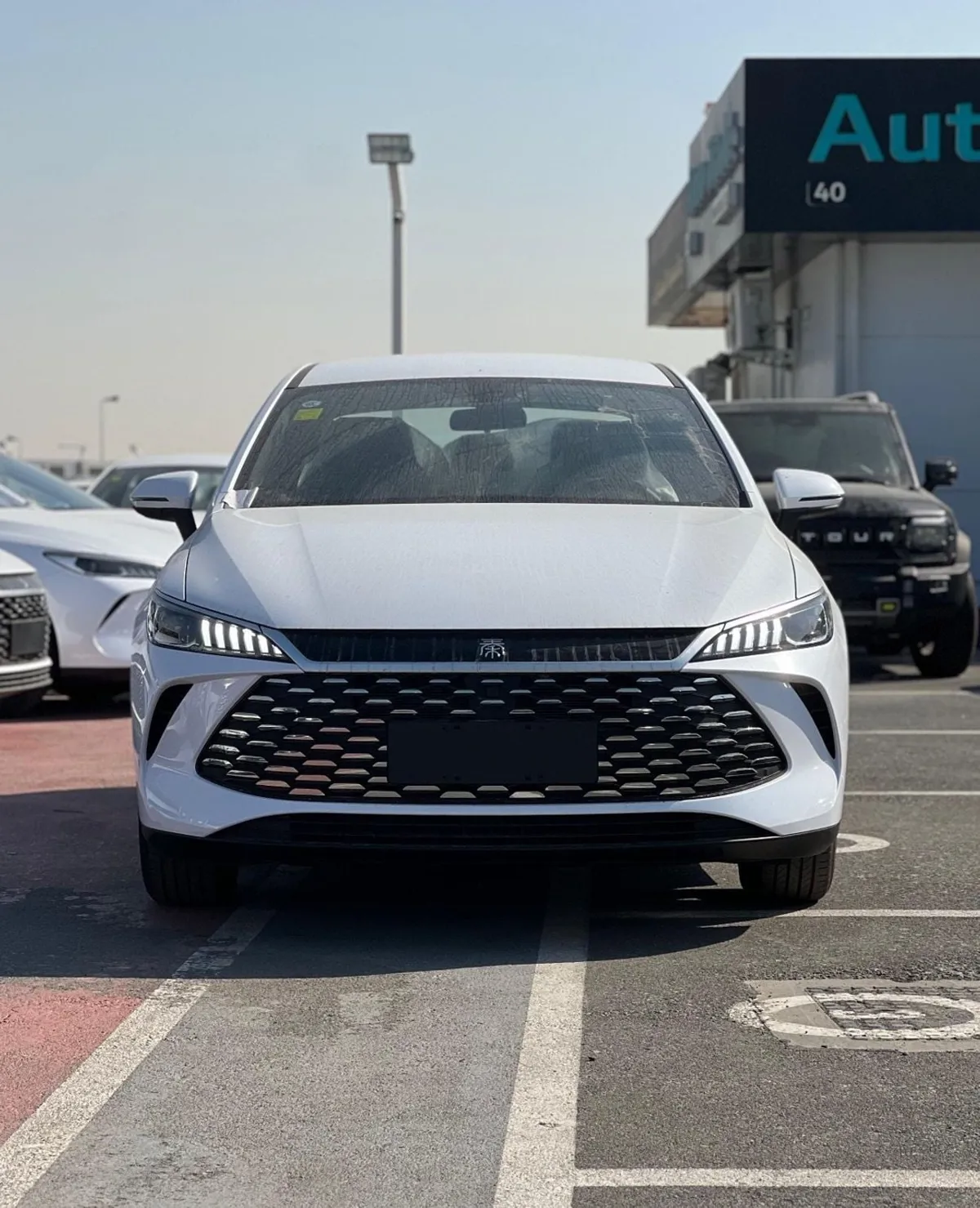 BYD QIN PLUS - фото 1