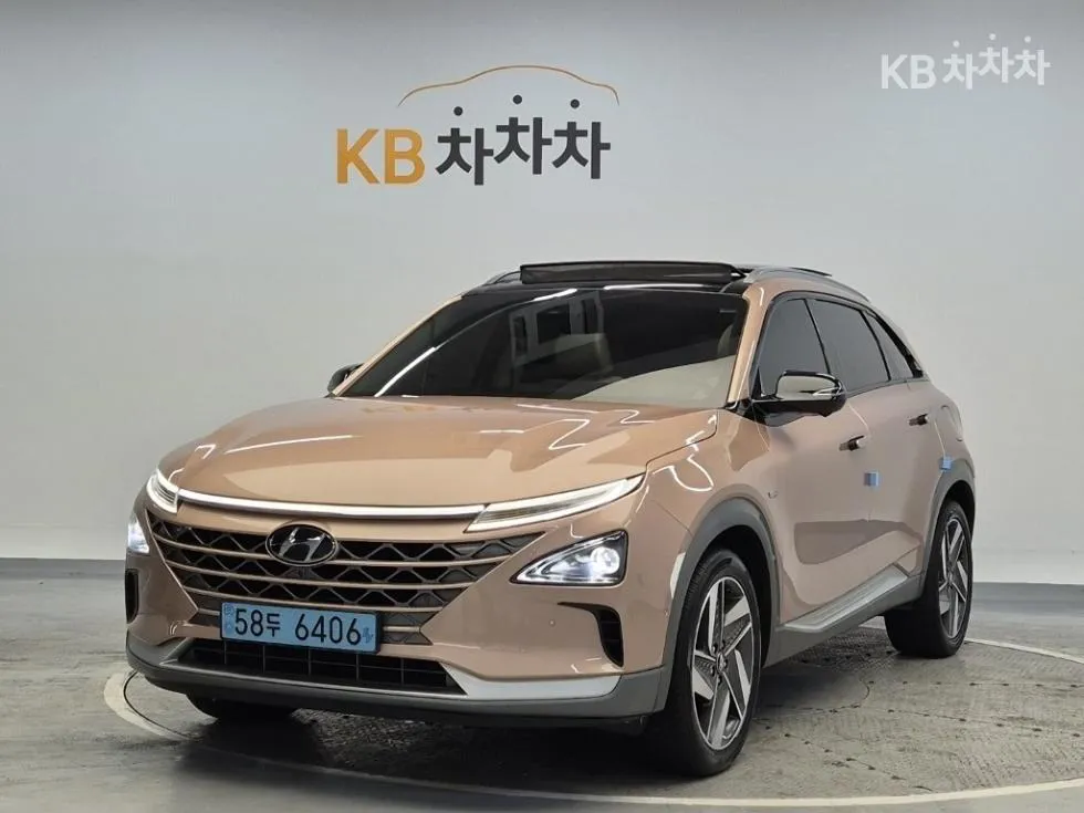 Hyundai 넥쏘 프리미엄 - фото 1