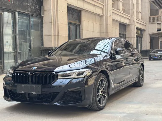 BMW 5 Series PHEV - фото 1