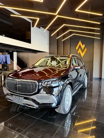 Mercedes-Maybach GLS-Class - фото 1