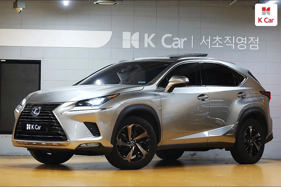 렉서스 NX - фото 1