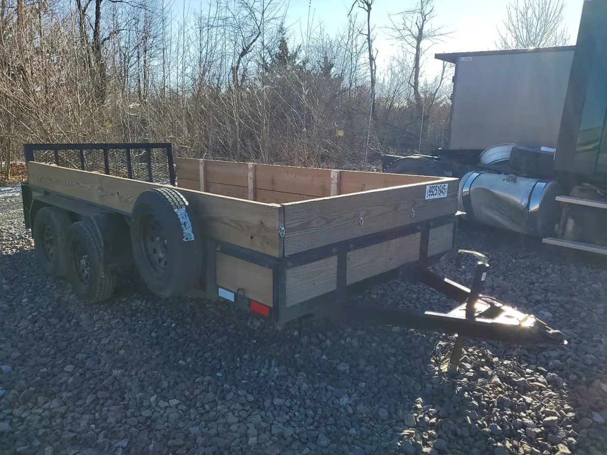 GORILLA - фото 1