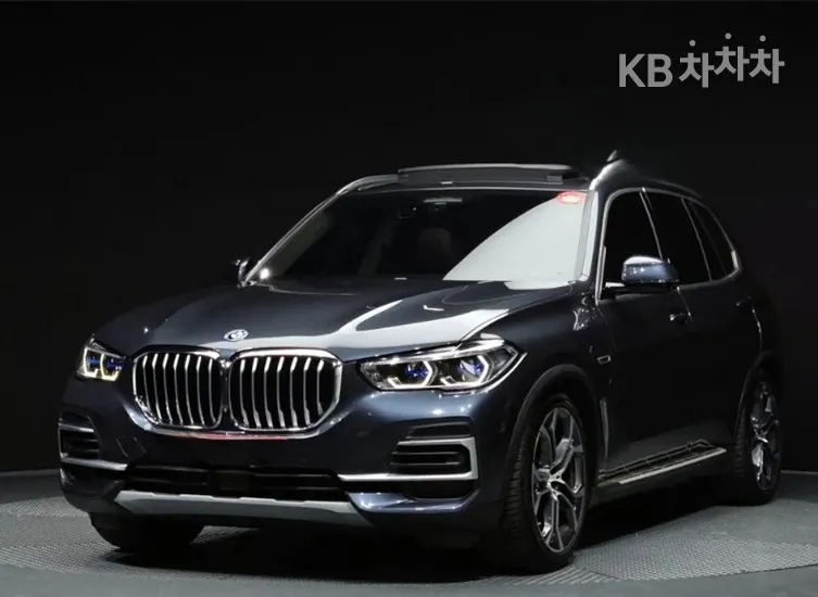 BMW X5 (G05) xDrive 45e xLine - фото 1