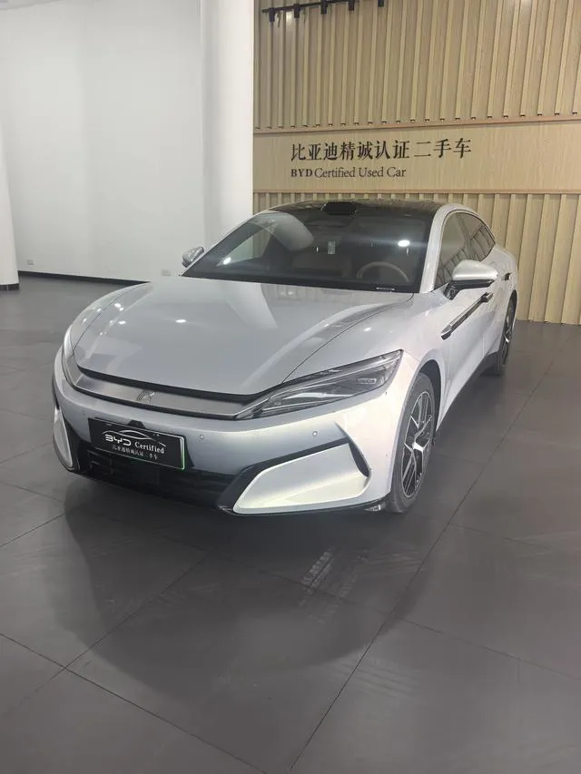 BYD L EV - фото 1