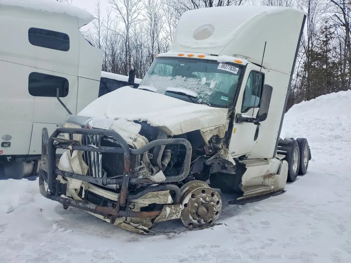 INTERNATIONAL - фото 1